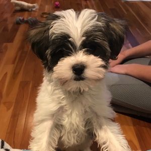 Meet your Posher, Connie